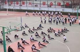 地艺术家