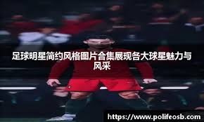 他用